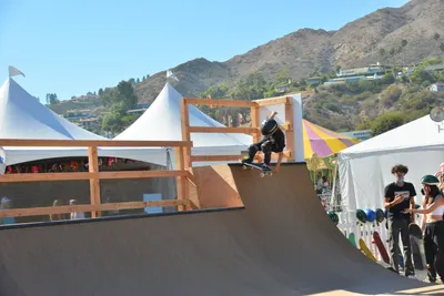 DSC_7562 (Large).JPG